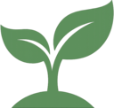 Seedling